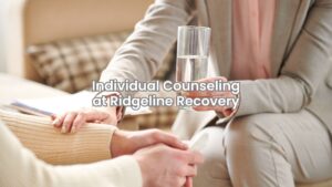 Client in private individual counseling session with counselor in Columbus.