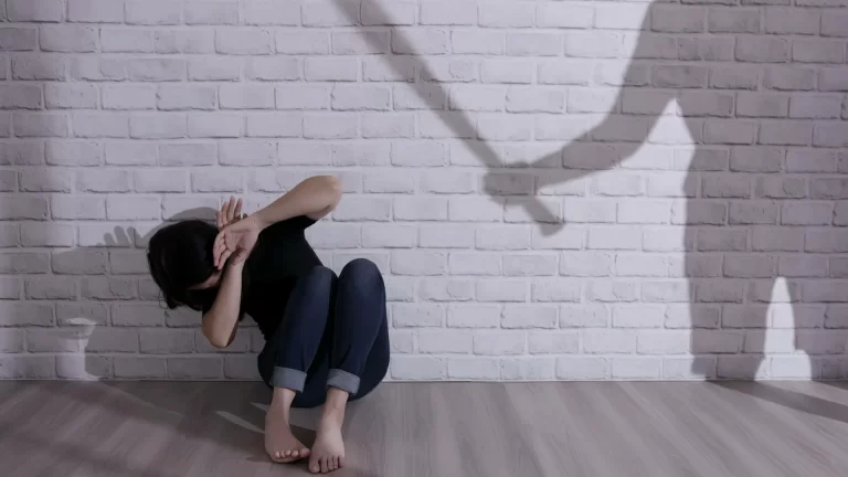 Comprehensive domestic violence support, trauma-informed care, counseling services, safety planning, emotional healing, resources for survivors, recovery services
