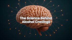Brain illustration showing effects of alcohol addiction and cravings.