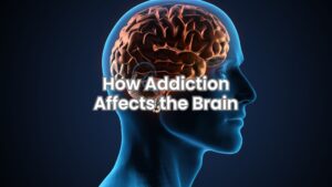Medical illustration of a brain impacted by drug and alcohol addiction, highlighting impaired decision-making areas.