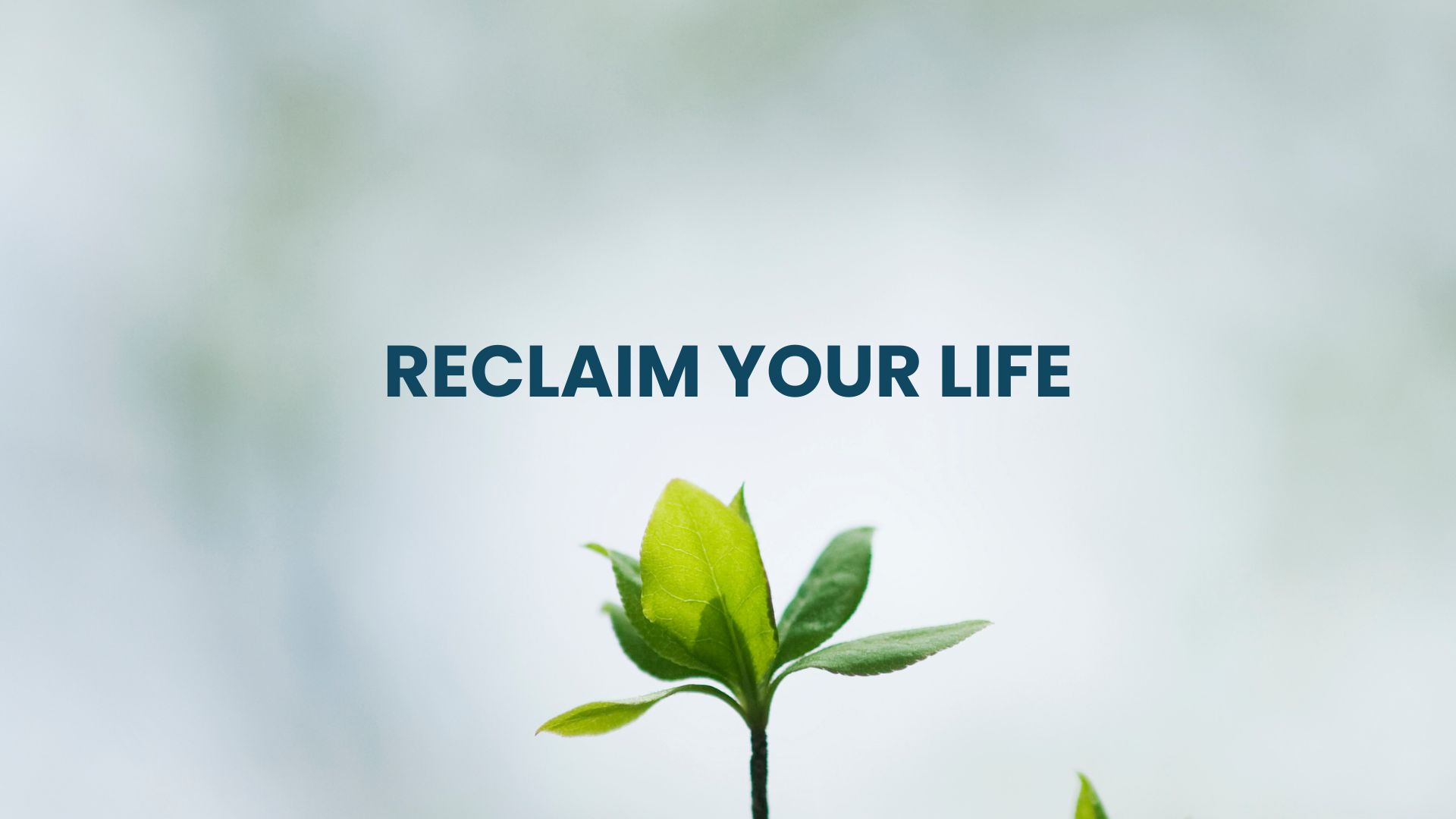 Mental Health Awareness. Symbolizing a fresh start, this image represents the hope found in mental health awareness. Just like a new sprout, recovery at Ridgeline is about providing the right conditions to help individuals reclaim their vitality and mental clarity.