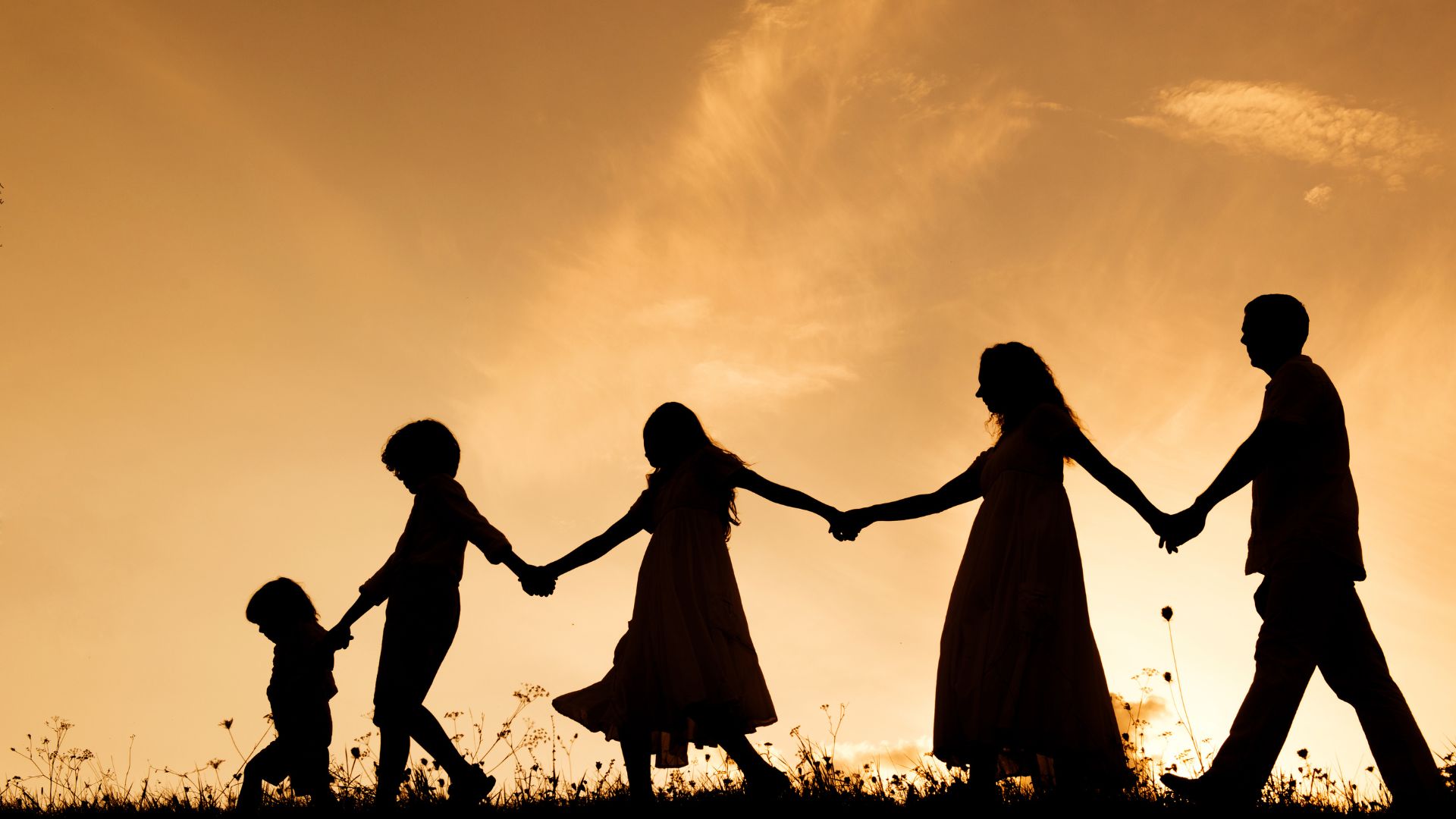 How to Help a Recovering Alcoholic. A silhouette of a family of five holding hands and walking together against a golden sunset, representing the support system needed for a recovering alcoholic.